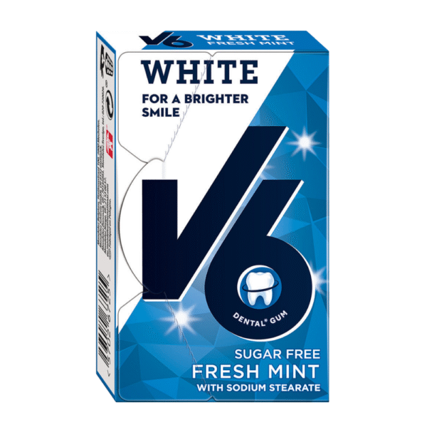 V6 DENTAL FRESH MINT 24 g